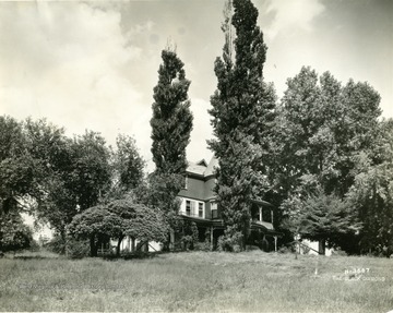 Part of the house can be seen behind trees. 