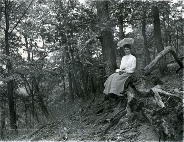 Woman sitting on the log in a forest of trees. 