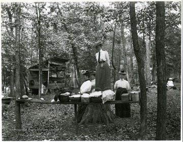 Three ladies stand near picnic baskets in the forests.
