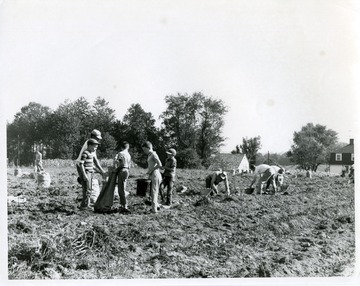 Children and others work in a large garden.