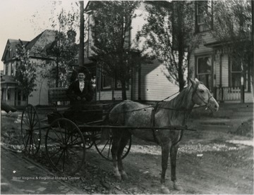 Smiling woman in a horse and buggy on Willey Street.