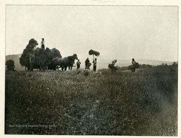 View of farmers harvesting oat in Berkeley County, West Virginia.