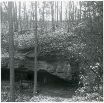View of the mouth of Fetty's cave on the left fork of Steer Creek near Shock, W. Va.