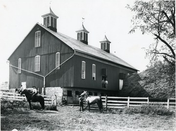 Horsemen and Others Outside of O. B. LeFevre's Barn in Bunker Hill, Berkeley County, W. Va.