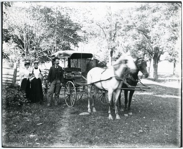 View a group of three tourists standing beside a horsedrawn buggy at Blue Sulfur Springs in Greenbrier County, W. Va.