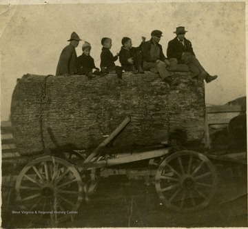 View of a Log Shipped by O. B. Coffman to Lewisburg, W. Va. to Lionpoole 10 feet long contained 1500 feet. 'Written by Stale, R. M.'
