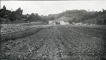 View of garden of the West Virginia Industrial Home for Girls, showing the farm house and barn in the distance.
