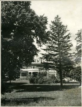 'This is the view one gets of the house as one walks up from the lily pond. The large elm on the left is one of a group of four trees of this species. Scarcely distinguishable and seemingly under it is a European liden. In the foreground on the right is a spruce. The shubbery hides the gravel walk from the road to the house. As one enters the main hall from the verandah, on the right is the library, on the left the drawingroom. Facing this way, on the floor above, are two large bedrooms with a bath between. The house is roomy and comfortable, in every sense a home. It has been well kept up.'