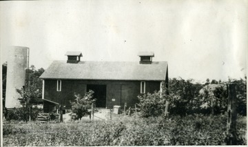 'As in the case of the horse barn, the cow barn opposite is deceptive as to its size. The ground falls away, and the cows enter thier concrete-floored, modern stable at either side. Forty cows are now comfortably housed there. The part of the barn seen in the picture is devoted to the storing of hay and machinery. On the left is the big concrete silo. A small structure in line with the left corner of the barn is a shed in which milk cans are set out to air. The fence in the foreground separates the field from the road to wheeling. This picture was taken a few yards from the horse barn. The tenant house, already pictured, is about fifty yards to the left. The magnificent hills which form such a picturesque background do not show up in this picture.'