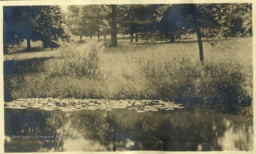 'The picture shows the lily pond and the well-wooded lawn, looking toward the house.'