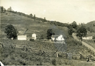'A view of a farm in Jackson Run. This farm stands out from its neighbors because of its neatness. Notice the trim, white washed poultry house to the left.' From photo album labeled 'Stewart A. Cody, County Agent, Jackson County, 1912.'