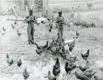 Two young boys look after and feed the chickens at the West Virginia Industrial School for Colored Boys.
