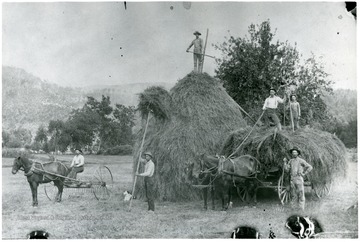 'Jay Lambert on hay stack.  Ona and Otho Davis on load, Miles Thompson by the wagon, George Davis on the rake and Jim Skiles or Loyd Lambert pitching hay. George Davis farm is located on Rt. 220 north of Franklin, and later it became the Foster Dyer Farm.'