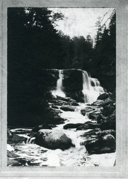 'A view of Blackwater Falls in Tucker County, West Virginia, before the Virgin Timber was removed. O. Homer Floyd Fansler, Hendricks, W. Va.'