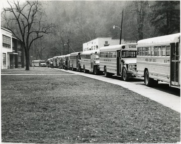 Fleet of school buses parked along a lane in front of a school.