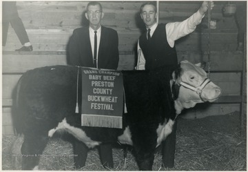 Shown in the picture is Phillip Gregg, son of Mr. and Mrs. Ernest Gregg of Masontown, with his Baby Beef Carcass that placed Second in the Carcass Contest sponsored by Sterling Packing Company of Reedsville, W. Va.  Shown with him is Dr. James L. McBee Jr., Associate Professor of Animal Industry of West Virginia University. 