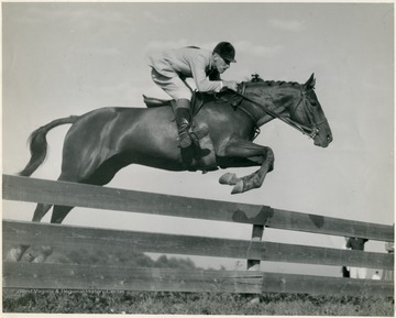 Jockey Jack Tierney jumping a fence.