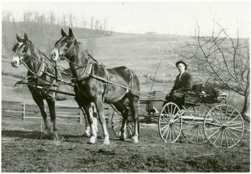 "George M Snyder (Snider), his team and buggy.  This picture was taken at his fathers farm in Grant District, Monongalia County.  This is the area of Laurel Point/Indian Creek off old Morgantown/Fairmont Pike."