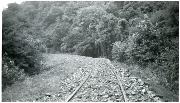 Railroad tracks near tree covered hillside.