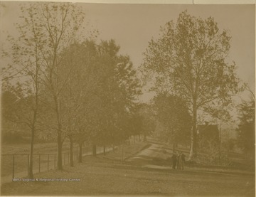 This walk runs along the front of the campus where Elizabeth Moore Hall is placed.  Sycamore tree in the foreground 'cut down 1963', which is one of the two largest trees on the campus today, was planted by the Rev. J. R. Moore as was the other tree, the maple, in the Circle.  He planted another tree on the Circle which died many years ago.  Rev. Moore came to Morgantown as Principal of the Monongalia Academy in 1852 and died in 1864.  The Falling Run Road which runs along the edge of picture is now University Avenue.  This is the E. Moore Hall sycqamore still growing as of February 22, 1983.  References to the tree being planted by Rev. Moore is probably an error.  The tree is shown in photos from 1888 as a fully grown tree at least 50 years old.
