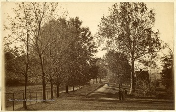 'Campus of West Virginia University looking down University Avenue, then called Front Street, past the present location of Elizabeth Moore Hall. Note the sycamore tree to the right of center, which is only tree still standing. Beyond it he building is the old Millspaugh home, now site of the President's Home. Taken about 1890.'