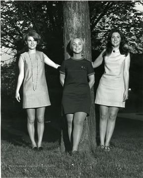 Female Panhellenic Officers pose in front of a tree in Woodburn Circle.  From Left to right Marcia Kelly of Delta Delta Delta (V. President), Ann Kaye Ott of Gamma Phi Beta (President), and Becky Ferraccio of Kappa Delta (Secretary).