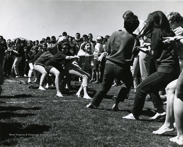 Members of sororities engage in a lively game of Tug 'O War in Mountaineer Field, while onlookers cheer.