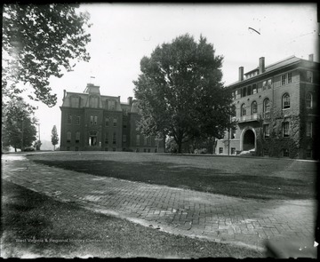 A view of Woodburn Circle: Science Hall (Chitwood Hall) on the right of the tree and Woodburn Hall on the left.