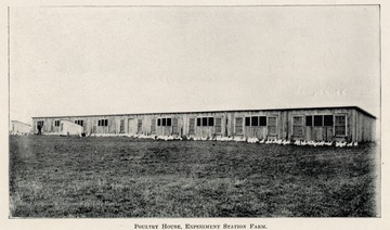 A view of poultry house at Experiment Station Farm.