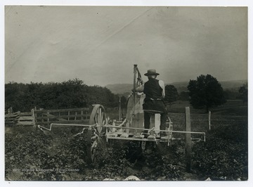 A man rides on a potato sprayer at Guseman's Farm.