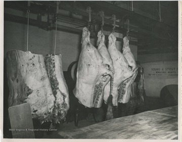 'Carcasses of the 4-H Baby Beeves from the 1951 sale which were purchased by Young and Stout, Clarksburg. Publicity and Advertising Dept. Monongahela Power Company, Fairmont, W. Va.' 