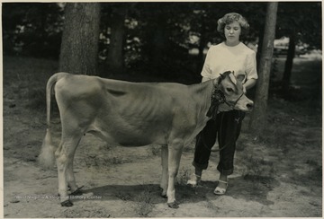 'Champion 4-H Jersey, West Virginia Dairy Cattle Show owned by Mary Lois Hannah, Wallace, R-2.'
