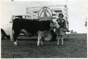 'The Triple Z Farm Polled Hereford, Reedsville, W. Va.'
