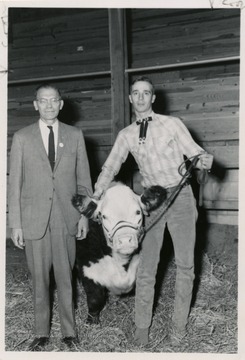 4-H champion shows off a prized cow; Martin Piribek at left.