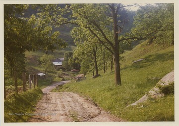 Road to Pason's farm, seen in the background.