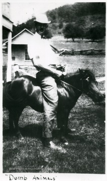 Dr. Messmore of Brownsville, Pa pictured on a pony while on vacation at Ellison farm, Hans Creek, W. Va. 'Dumb animals.'