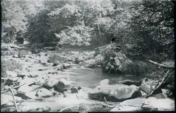 A photograph of a stream. 'W(26) 60; Sat. July 19, 1884, 9:45 am'