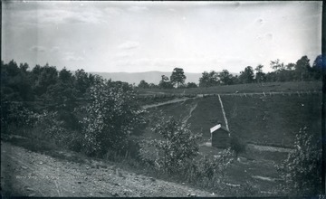 A picture of a field with a mountain in the backgound. '55 D(31); Thu. July 17, 1884 2-30 pm'
