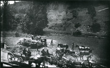 A picture of farm workers in a field. 'Team of 10 men, 6 horses, and colt. 1/2 mile out of Troy, Gilmer County.; No. 27 D(15); July 9, Wed. 11:05 am, clear'
