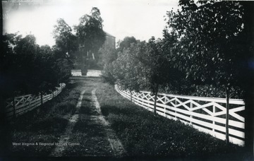 A photograph of a fence-lined road leading up to a house. '167.W.(70); August 6, 1884, Wednesday 5 pm'