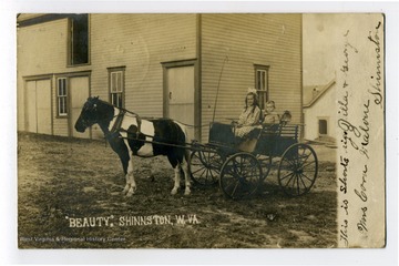 Two children in a horse drawn buggy.