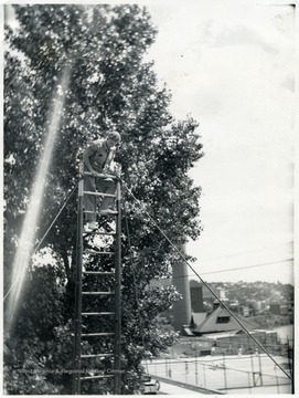 A man climbing a ladder as part of a safety training exercise.  Tennis courts on Beechurst Avenue visible below.