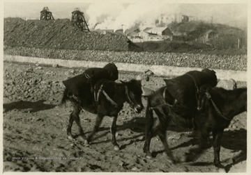 College of Mineral and Energy Resources Visit to China.
