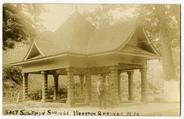 A structure over one of the Salt Sulphur Springs in Webster Springs, W. Va..