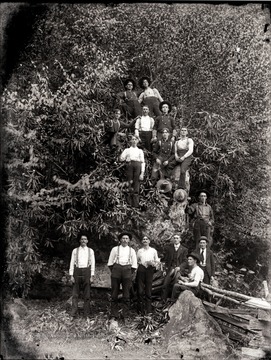 A portrait of group of men around a rhododendron tree in Helvetia, W. Va.