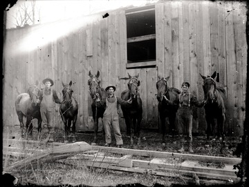 Three loggers and six work horses; each logger holds a horse on each side; the photo appears to be taken right outside of the mill.