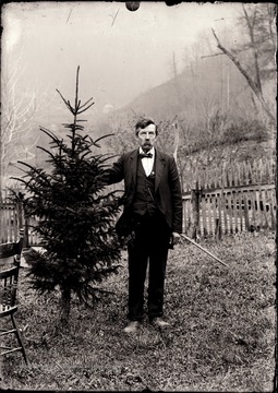 A portrait of man near a small evergreen tree.