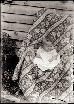 A portrait of infant sitting in chair draped with fabric.