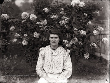 A portrait of woman seated below hydrangea plants in Helvetia, W. Va.