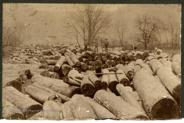 A view of log dump; unidentified workers stand on piled logs.